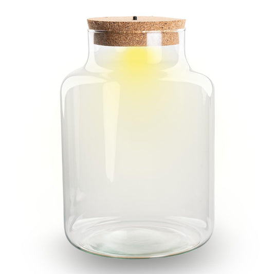 Terrarium Flasche – Geschlossene Glasflasche mit Korken & LED-Beleuchtung – Höhe 24,5cm Ø17cm – Dekoratives Pflanzenterrarium aus Recyclingglas