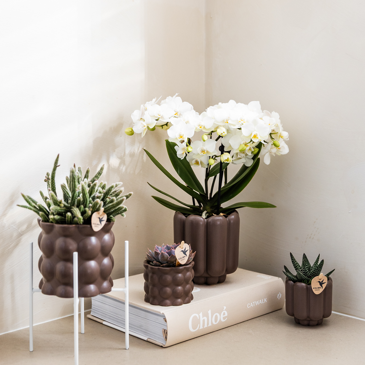 Retro Pflanztopf – Braun – Ø6cm – Dekorativer Mini-Übertopf aus Keramik – Blumentopf mit Rillenstruktur für Orchideen & Grünpflanzen