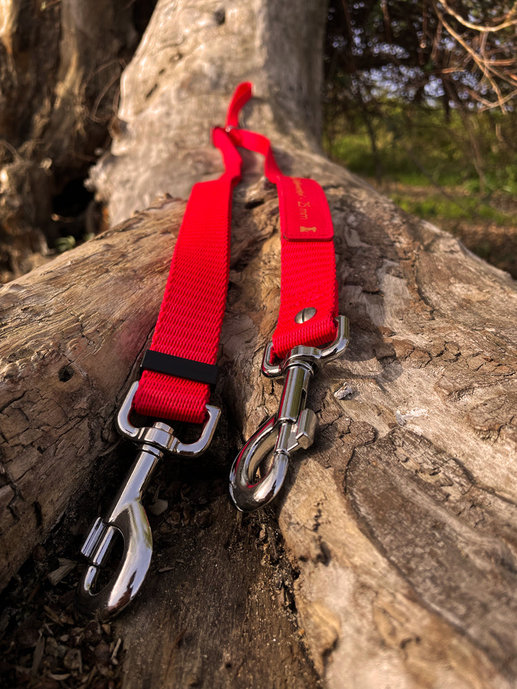 Doppelleine TECHTELMECHTEL aus BioThane®/Pop - Band